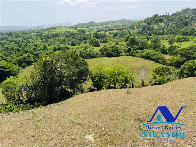 Finca de 825 tareas en venta  - Imagen 9