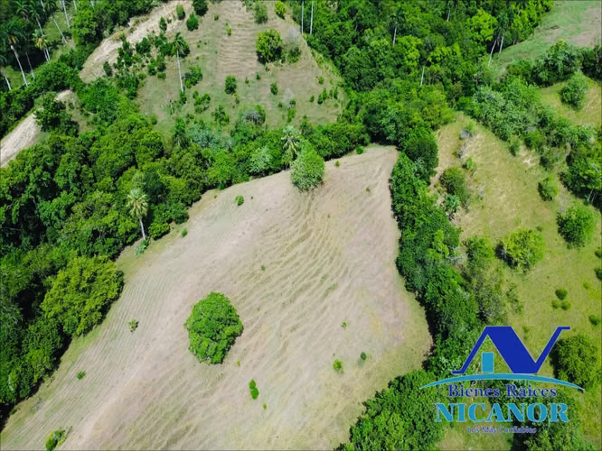 Finca de 825 tareas en venta  - Imagen 17
