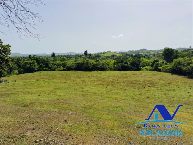 Finca de 825 tareas en venta  - Imagen 7