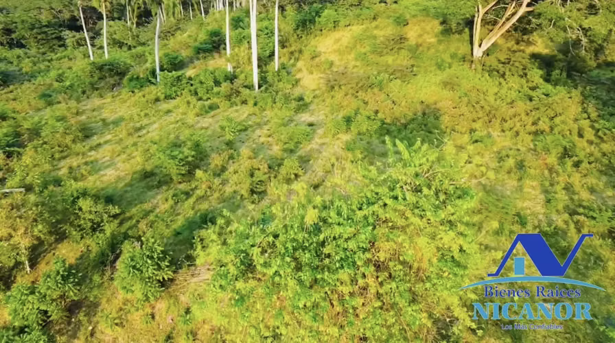 Finca de 1,150 tareas en venta  - Imagen 4