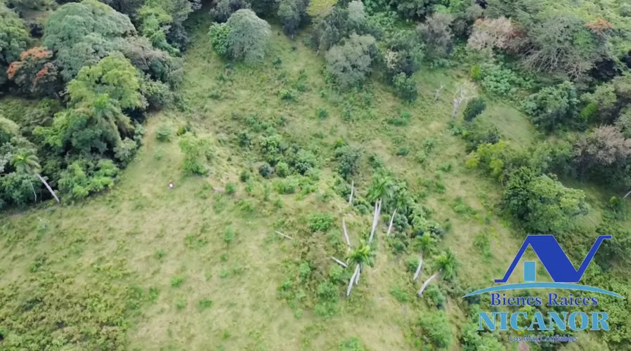 Finca de 1,150 tareas en venta  - Imagen 13