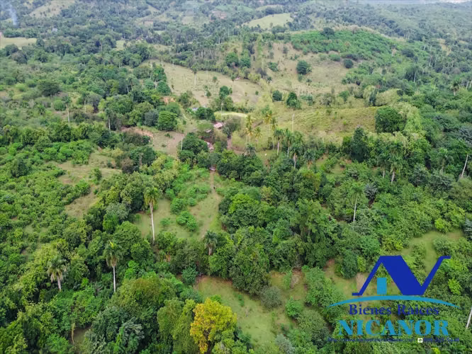 Finca de 5,200 tareas en venta en imbert  - Imagen 20