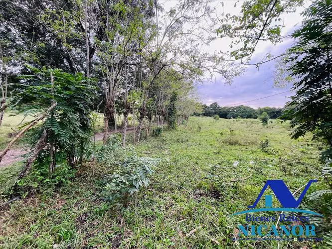 Finca de 5,200 tareas en venta en imbert  - Imagen 14