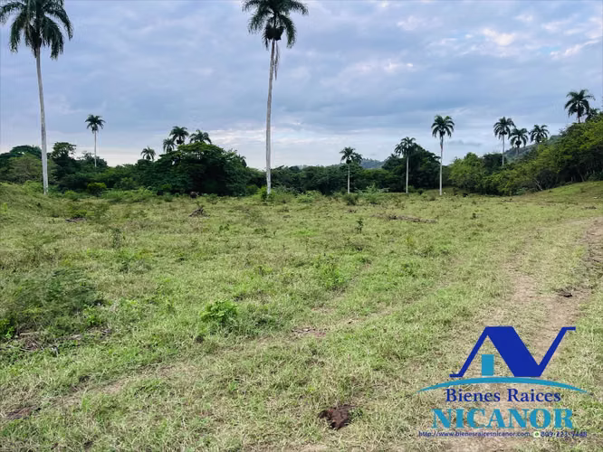Finca de 5,200 tareas en venta en imbert  - Imagen 10