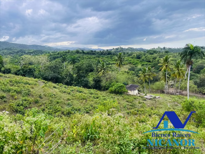 Finca de 5,200 tareas en venta en imbert  - Imagen 4