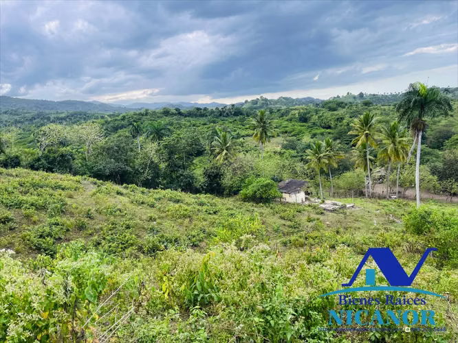 Finca de 5,200 tareas en venta en imbert  - Imagen 3