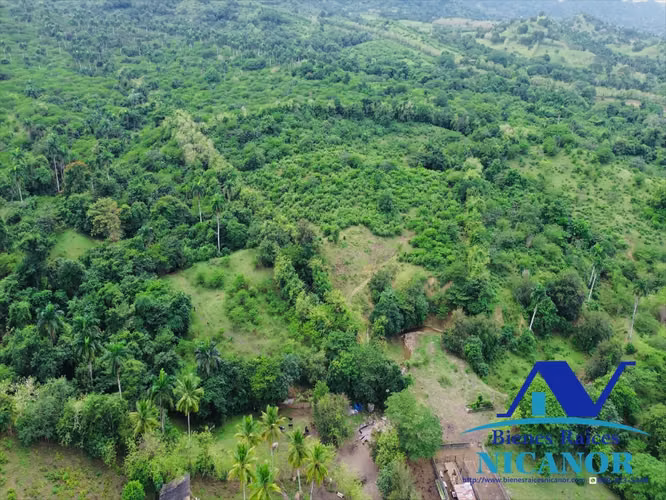Finca de 5,200 tareas en venta en imbert  - Imagen 17