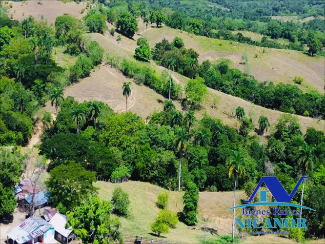 Finca de 846 tareas en venta  - Imagen 3