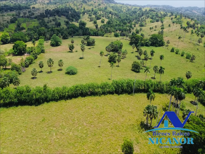 Finca de 1,010 taraes en venta  - Imagen 6