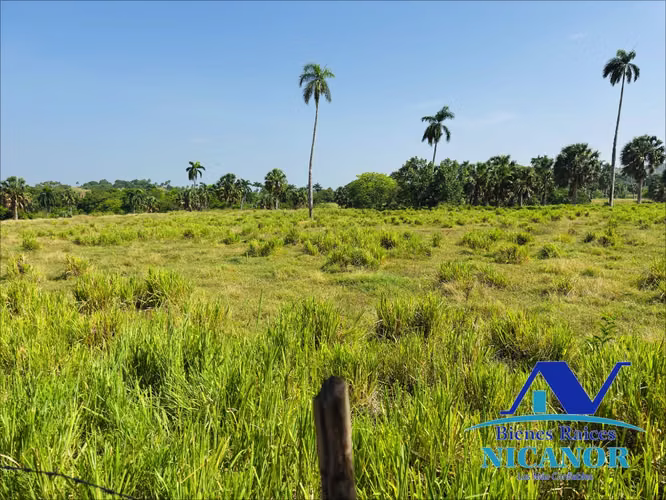 Finca de 1,010 taraes en venta  - Imagen 10