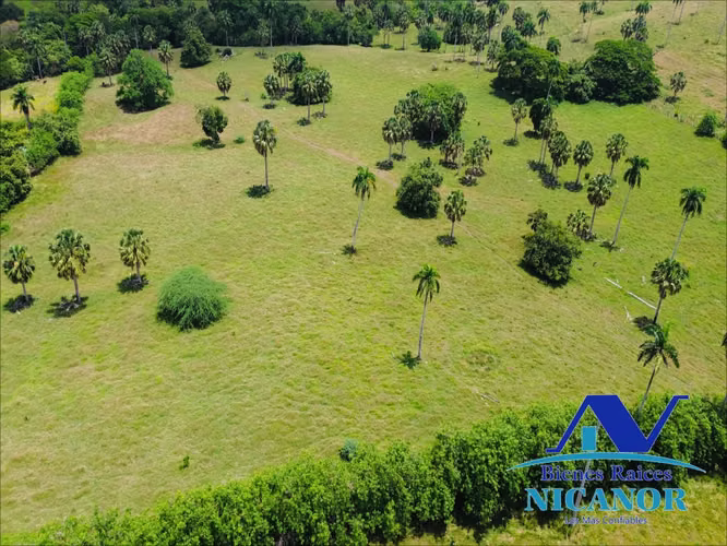 Finca de 1,010 taraes en venta  - Imagen 8