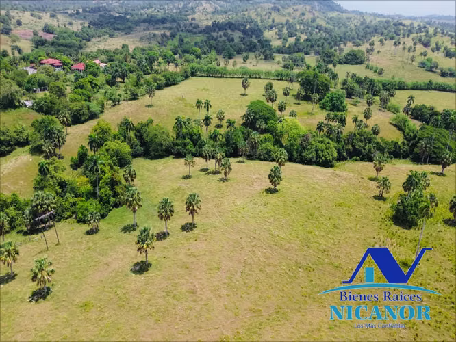 Finca de 1,010 taraes en venta  - Imagen 3