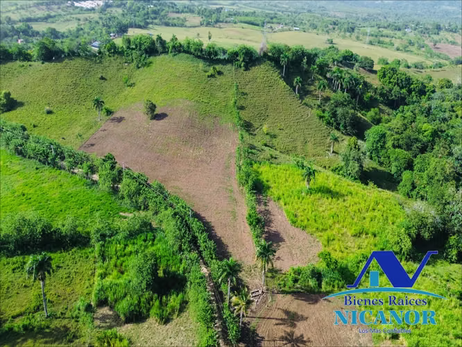 Finca de 278 tareas en venta  - Imagen 5