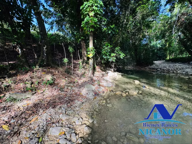 Finca de 278 tareas en venta  - Imagen 14