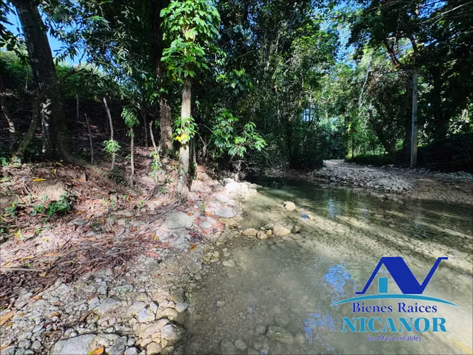 Finca de 278 tareas en venta  - Imagen 13