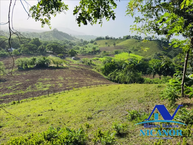Finca de 278 tareas en venta  - Imagen 7
