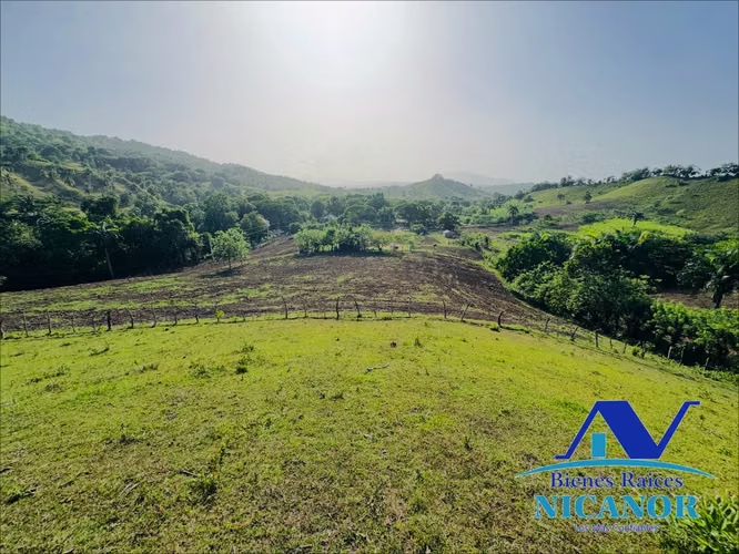 Finca de 278 tareas en venta  - Imagen 9