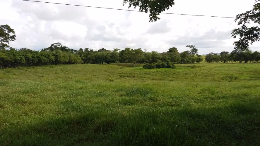 Venta de Finca 474 tareas en Río San Juan- Maria Trinidad Sánchez - Imagen 2