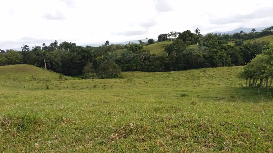 Venta de Finca 474 tareas en Río San Juan- Maria Trinidad Sánchez - Imagen 5
