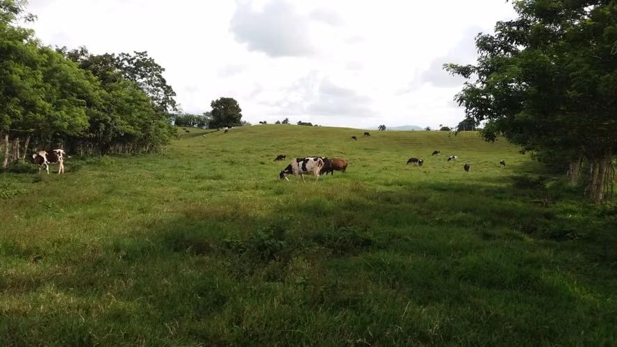 Venta de Finca 474 tareas en Río San Juan- Maria Trinidad Sánchez - Imagen 3