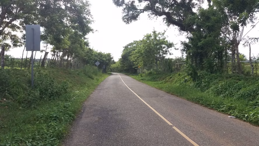 Venta de Finca 474 tareas en Río San Juan- Maria Trinidad Sánchez - Imagen 7