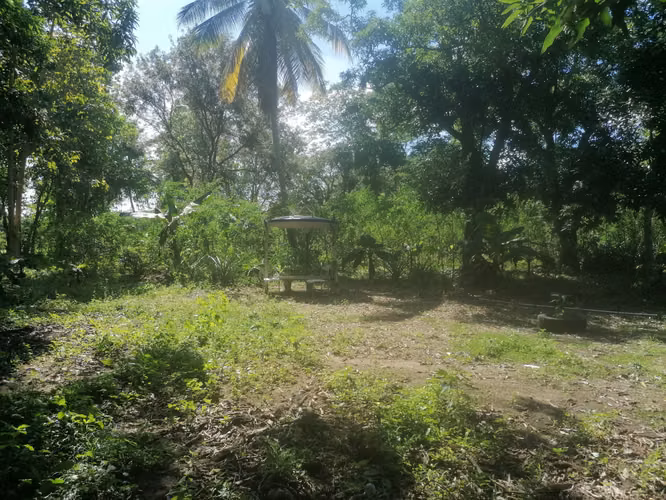Venta de Finca Los Montones, Hato Dama San Cristóbal, Republica Dominicana - Imagen 2