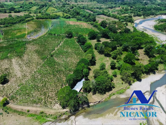 Finca de 390 tareas sembrada de platanos en venta imbert puerto plata  - Imagen 7