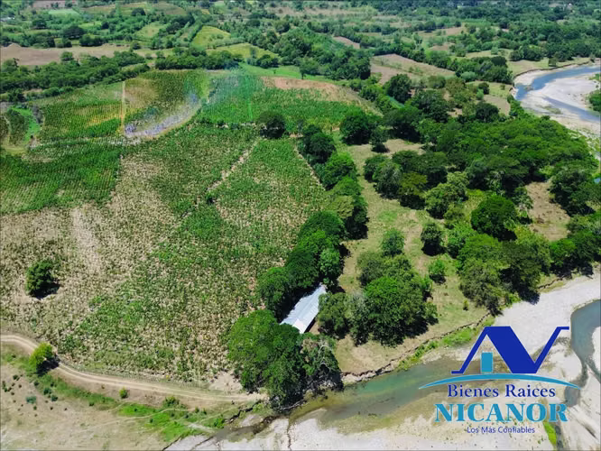 Finca de 390 tareas sembrada de platanos en venta imbert puerto plata  - Imagen 12
