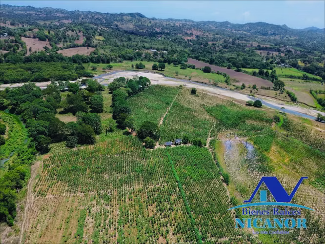 Finca de 390 tareas sembrada de platanos en venta imbert puerto plata  - Imagen 4