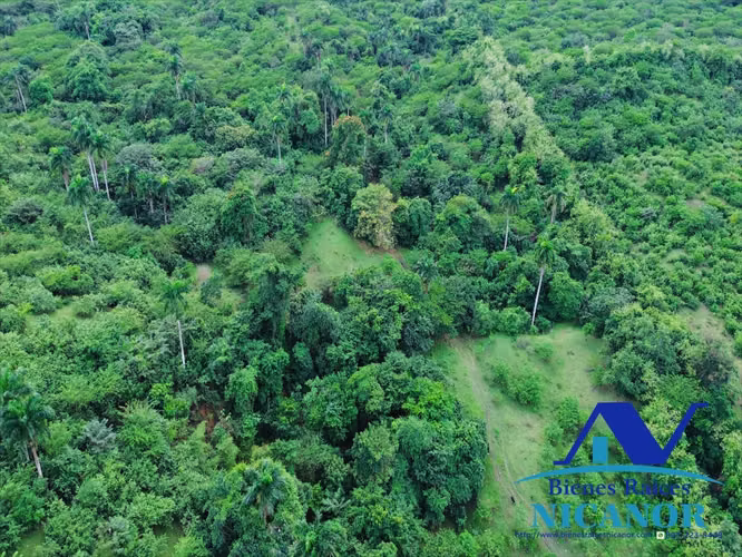 Finca de 2,300 tareas en venta en imbert 