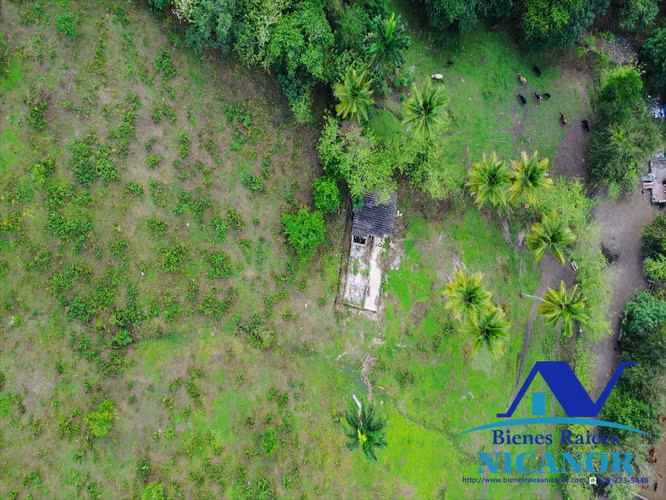 Finca de 2,300 tareas en venta en imbert 