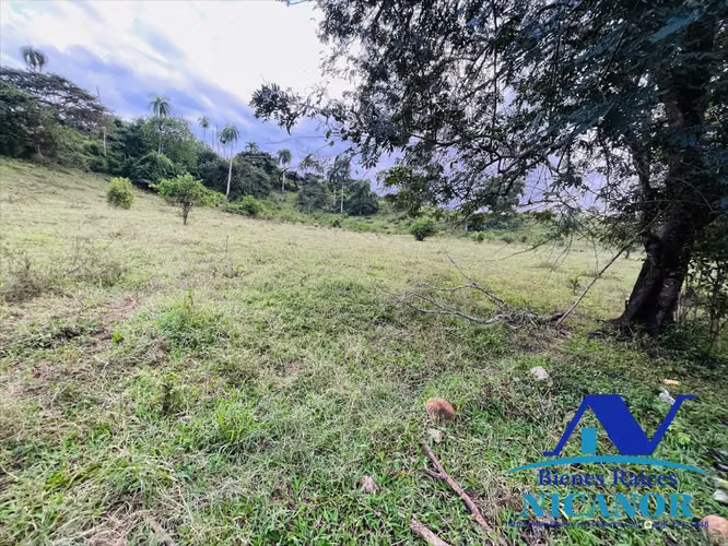 Finca de 2,300 tareas en venta en imbert 