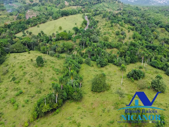 Finca de 2,300 tareas en venta en imbert 