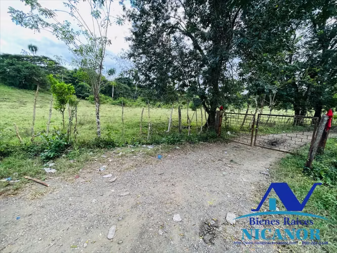 Finca de 2,300 tareas en venta en imbert 