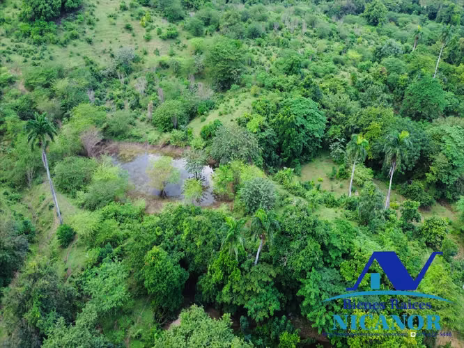 Finca de 2,300 tareas en venta en imbert 
