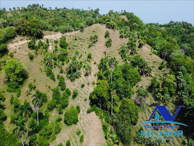 Finca de 825 tareas en venta 