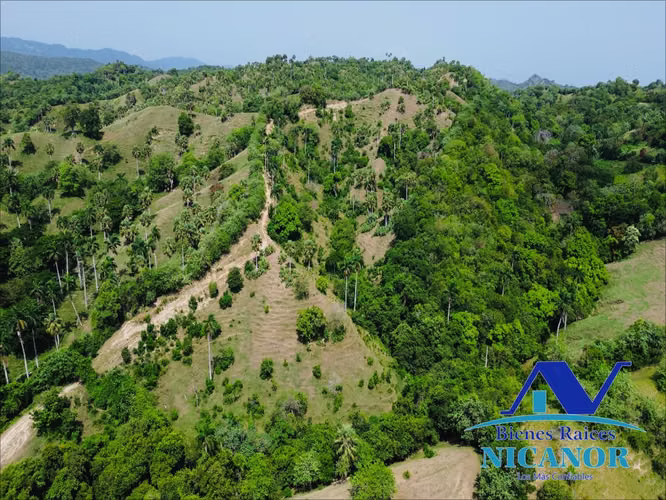 Finca de 825 tareas en venta 
