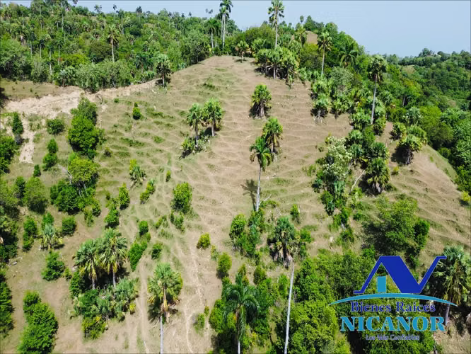 Finca de 825 tareas en venta 