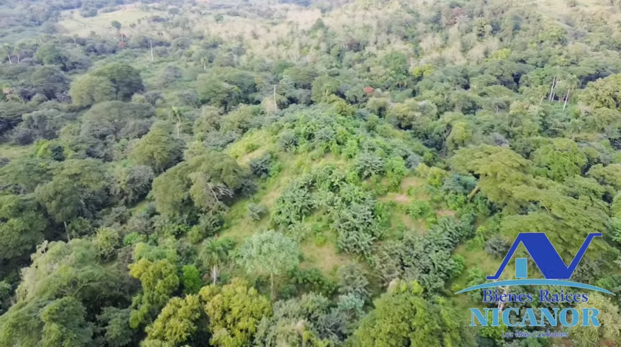 Finca de 1,150 tareas en venta en Guananico puerto plata 