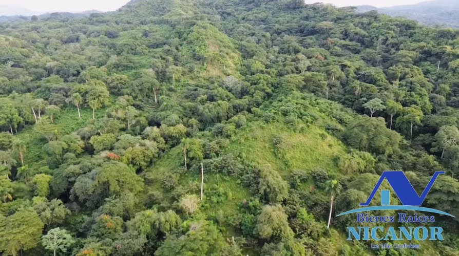 Finca de 1,150 tareas en venta en Guananico puerto plata 