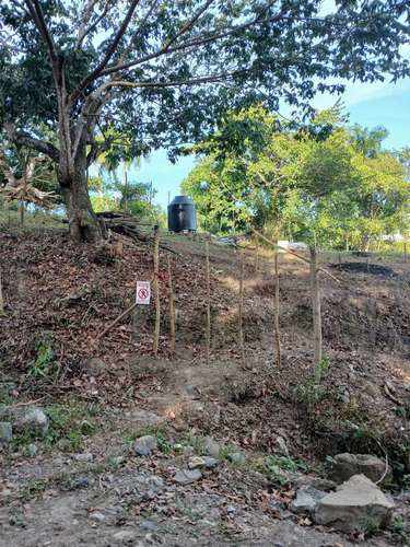 Located in El Cupey, Puerto Plata, in a quiet environment surrounded by nature, ideal for building t