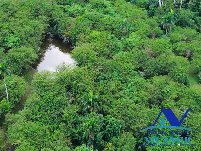 Finca de 5,200 tareas en venta en imbert puerto plata 