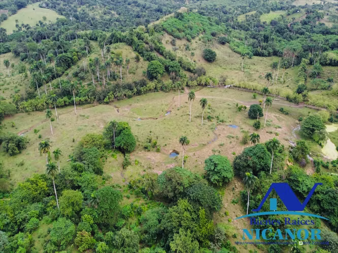 Finca de 5,200 tareas en venta en imbert puerto plata 