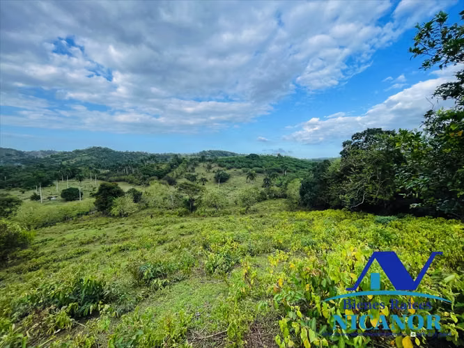 Finca de 5,200 tareas en venta en imbert puerto plata 