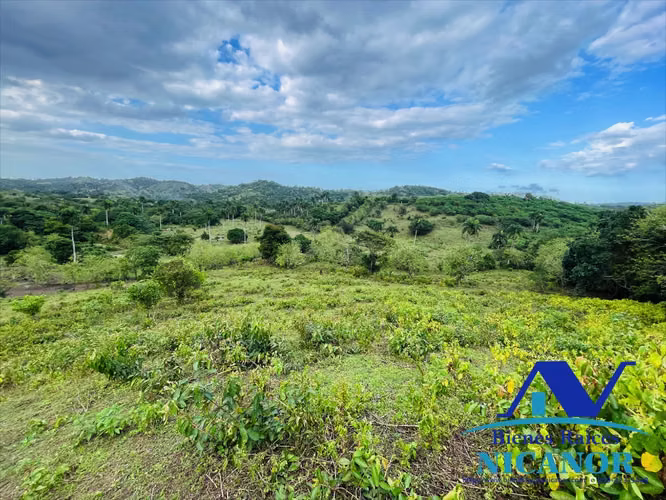 Finca de 5,200 tareas en venta en imbert puerto plata 
