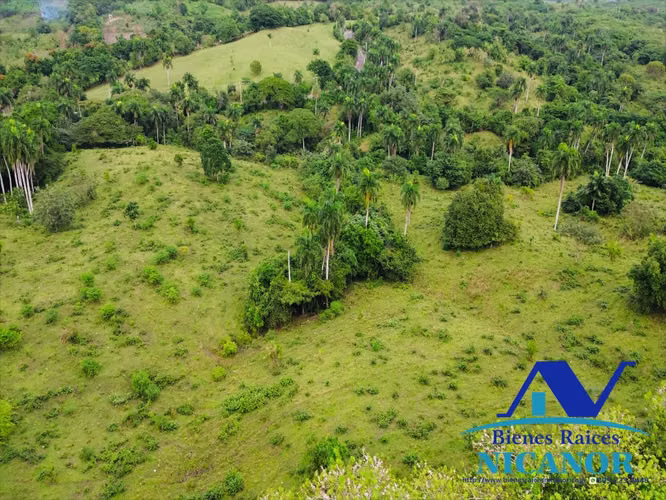 Finca de 5,200 tareas en venta en imbert puerto plata 