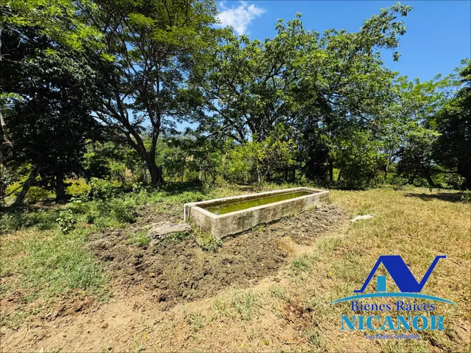 Finca de 846 tareas en venta en Guananico puerto plata 