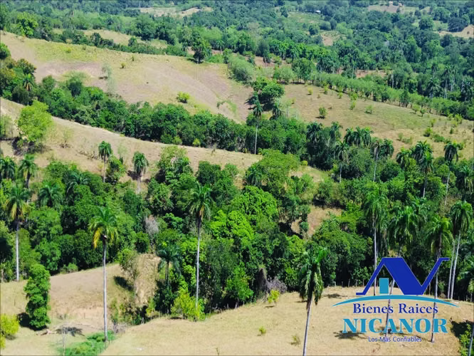 Finca de 846 tareas en venta en Guananico puerto plata 