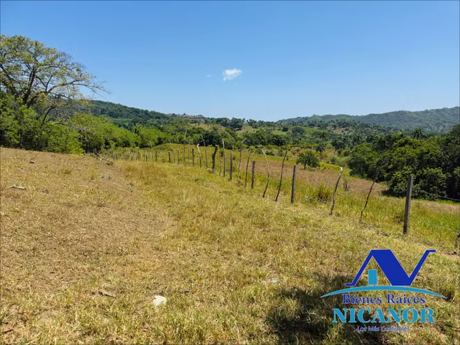 Finca de 846 tareas en venta en Guananico puerto plata 