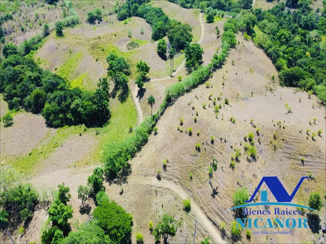 Finca de 846 tareas en venta en Guananico puerto plata 